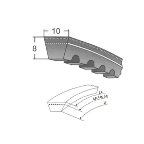 AVX10x875 La Optibelt ékszíj